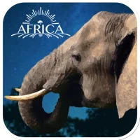 Real Elephant SimulationGame3D
